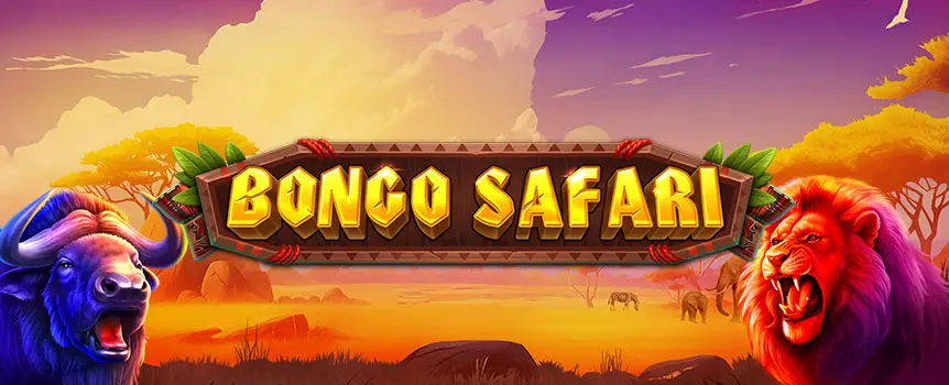 Embark on the wild adventure of Bongo Safari at Café Casino! Enjoy Free Spins, Persistent Prizes, Static Jackpots, and thrilling Bingo-style features